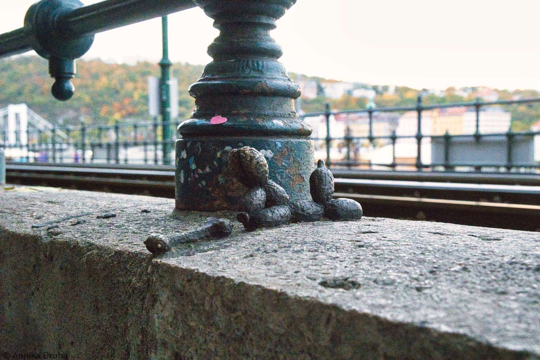 Balloon Dog with His Bone